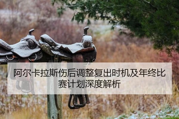 阿尔卡拉斯伤后调整复出时机及年终比赛计划深度解析